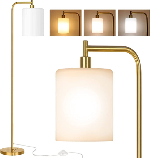 Gold Glass Shade LED Floor Lamp with Foot Control