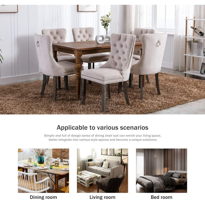 Beige Velvet Ring Pull Trimmed Dining Chairs Set of 6