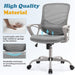 Grey Ergonomic Home Office Chair with Lumbar Support