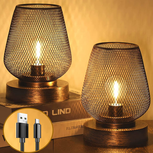 Rechargeable Battery Operated Metal Cage Table Lamp