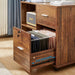 Walnut 2-Drawer File Cabinet with Wheels and Shelves