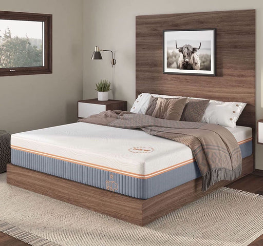 Full Nest & Wild Plush Mattress W/ Cool Touch Cover and Ventilated Memory Foam