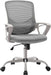 Grey Ergonomic Home Office Chair with Lumbar Support